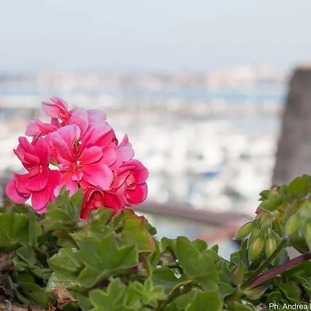 La Terrazza Sul Porto - Alojamento de Acomodação e Pequeno-almoço