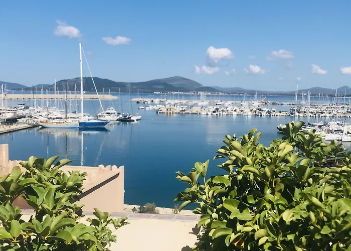 La Terrazza Sul Porto - アルゲーロ