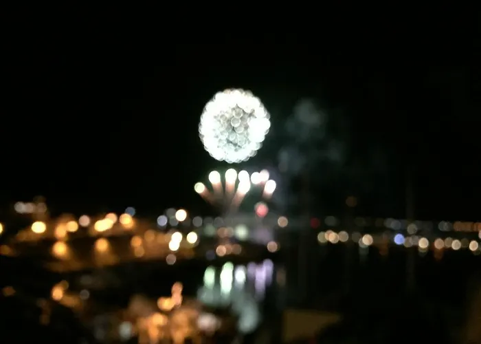 住宿加早餐酒店 La Terrazza Sul Porto - 阿尔盖罗